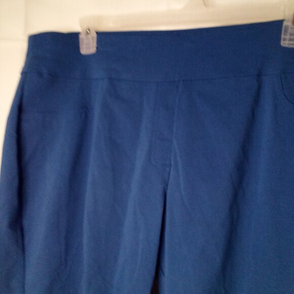 Ruby Rd Capri Pants Women 22W 22 Slimming Contour Waistband Blue - Picture 4 of 14